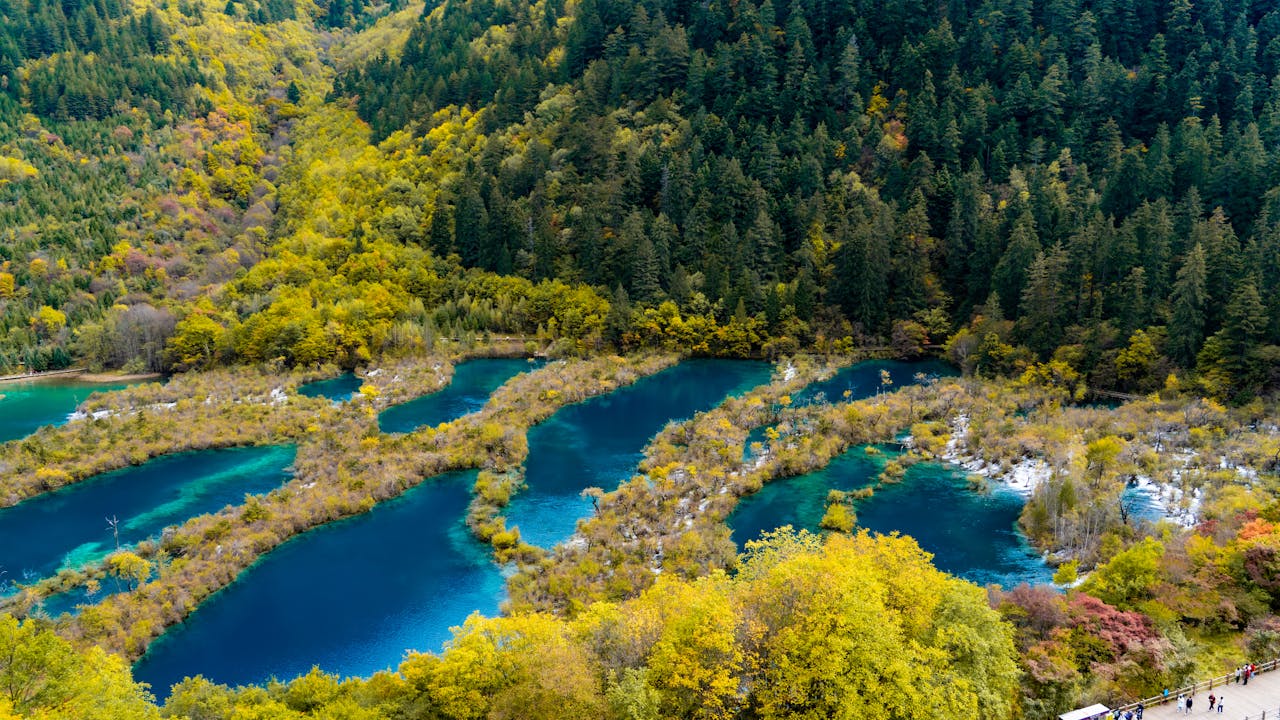 A stunning aerial view of blue lakes in Jiuzhaigou Valley surrounded by lush autumn foliage.